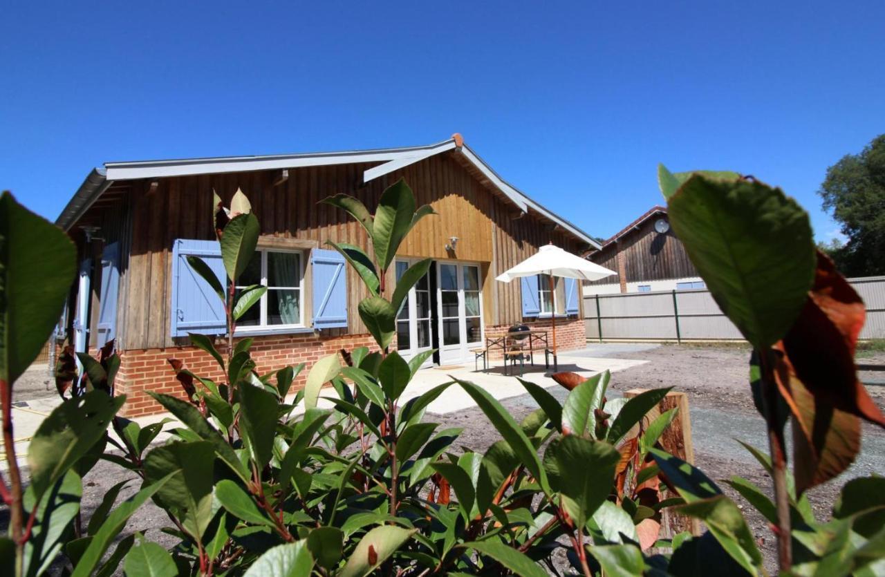 Domaine Du Flamand - Du Flamand Cote Piscine *